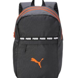 Puma Unisex-Adult Colorblock Backpack, Asphalt